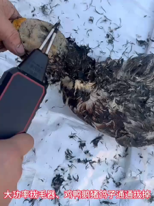 Electric Quick Poultry Hair Remover Handheld Automatic Epilator Feather Plucker for Chicken Duck Goose
