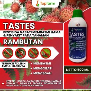 Obat Hama Tanaman Rambutan / Obat Hama Rambutan / Obat Tanaman Rambutan / Obat Hama Buah Rambutan / Obat Semprot Buah Rambutan / Obat Semut Buah Rambutan