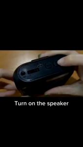 Portable Speaker Microphone & Mini Amplifier Device: A Comprehensive Guide