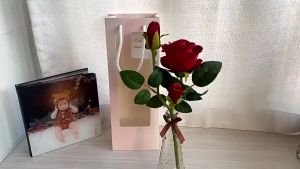 [Giá Rẻ] Túi Giấy Mặt Kính Trong Suốt Đựng Hoa Đựng Quà Chất Lượng Tốt - Túi Giấy 1 Mặt Loại Dài