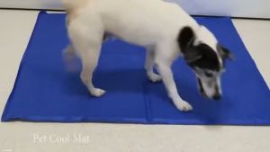 【Local Shop】Dog Pet Cooling Pad Mat Ice Gel Mat Waterproof Reusable Dog Sleeping Bed Matress