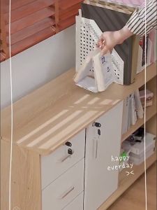 Modern Moving Storage Cabinet: A Comprehensive Guide