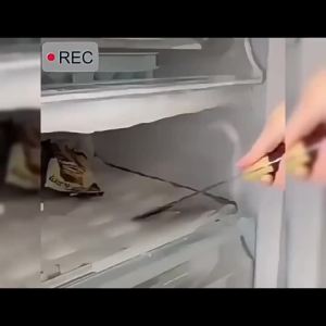 Dung Dịch Làm Tan Băng Và Rã Đông Tủ Lạnh Giải Pháp Làm Tan Băng Nhanh Chóng Cho Tủ Đông Gia Đình Và Xe RV Làm Tan Băng Nhanh Hiệu Quả Hộp Đựng Bền Chắc