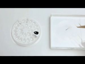 Eyelash Glue Holder / Tempat Lem Eyelash Extension / No Ring Glue / Glue Patch