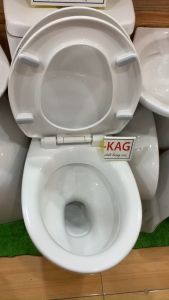[HCM]Nắp bồn cầu rơi êm Viglacera KAG-NAP38 nắp hơi bàn cầu 2 khối nhựa dày trắng bóng