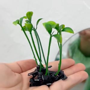 2Pcs Cute sprout hair clip for Girls Kids with Grass On Their Heads Artificial Bean grass Hairpin