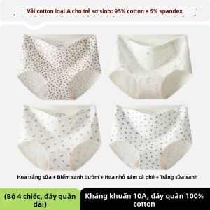 TENGNAIMEI | Quần Lót Chống Khuẩn A-Grade Cotton Sạch 100%