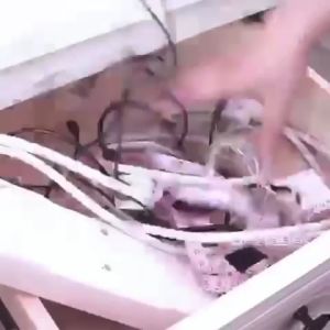 Pengikat Kabel Silikon & Klip Kabel HP Charger: Cara Maksimalkan Aksesoris Anda