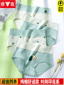 Quần Lót Tam Giác Cotton Kháng Khuẩn Cạp Vừa Cao in Họa Tiết Dễ Thương Cho Nữ Quần Lót Thoải Mái Thoáng Khí