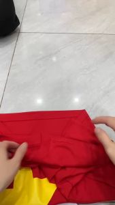 Áo cờ đỏ sao vàng vải dày dặn may kỹ đẹp form suông