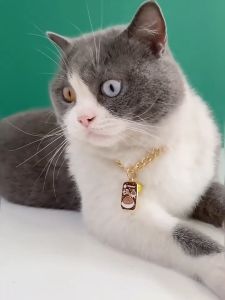Kalung Kucing Rantai Metal & Liontin Lonceng: Keberuntungan Untuk Anjing & Kucing