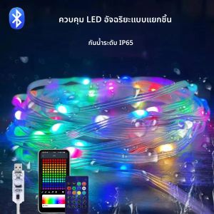 20 M/10 M RGBIC LED สมาร์ท Fairy สี Strip Light USB บลูทูธ APP ควบคุม String Light DIY สําหรับคริสต์มาสปาร์ตี้งานแต่งงาน Deco