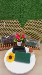 RAYACO SOURING SCRUB/SCRUBBER WITH HANDLE/SCRUB CLEANING