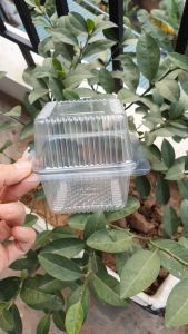 100 cái hộp nhựa trong hình vuông mã H17