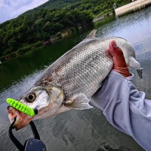 Spinpoler 5cm 7cm Floating TPR Soft Worm Fishing Lure Larva Bait Slow Twisting Sink Bass Trout Pike Freshwater Saltwater Pesca
