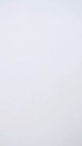 Otsky Tas Ransel Backpack Font Basic Premium Pria & Wanita