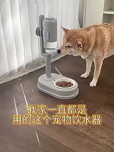 Adjustable Auto Ball-type Cat Dog Feeder & Waterer