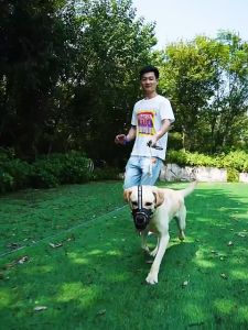 [24 Hour Shipping] Anti-bite adjustable dog mouth cover dog muzzle   medium and large dog pet mask dog mouth cover adjustable anti-bite mask drinkable water  anti-bite anti-eating and anti-barking