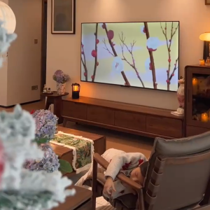 New Chinese Style Song Family Aesthetic Walnut Wood TV Cabinet Sofa Dining Table Full House Simple Living Room Furniture