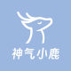 Shenqi Xiaolu Flagship Store