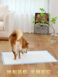 Super Absorbent Pet Pee Pads for Pet – Leakproof Fast Dry Odor Control Indoor & Travel Use