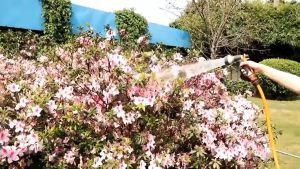 Combo bộ súng phun tưới cây rừa xe lionking chình nhiều chế độ phun khác nhau