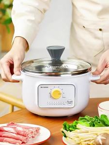 BUYDEEM | Multifunction Mini Electric Pot With Reservation Function