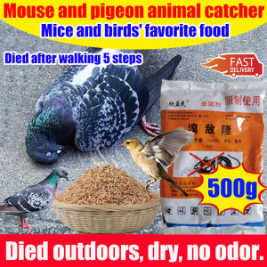 Penghalau burung luar Birds die outside Bird poison 500g Died after walking 5 steps anti bird 100% kill birds pigeons crows sparrow Birds favorite food Racun burung merpati Pigeons repellent Penghalau burung merpati Bird repellent outdoor 鸟药 防鸟神器