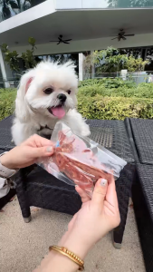 Duck Dog Treats 150g | High Protein Duck Jerky | Chewy Training Reward Snack for Dogs