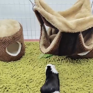 Rubvrenti Hamster Hammock double layer Sugar Glider Hammock Bed Ultra Soft Sleeping Bed Hammock Sleeping Nest