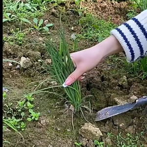 Gardening shovels Digging tools for vegetable and flower planting Soil loosening tools Special gardening tools