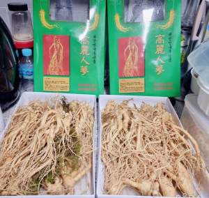 Gingseng merah asli Korea original