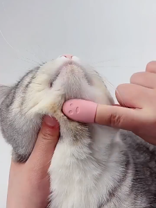 Tay chải silicon mềm hỗ trợ làm sạch lông giảm cằm đen ở mèo - Tiêm Mèo Moa