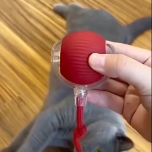 Mainan Bola Pintar LED Laser untuk Kucing & Anjing – USB Rechargeable Otomatis Bergerak anti Stres