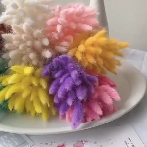 RABBIT TAIL Dried Dry Preserved Real Flower Bouquet Plant Living Room Home Decor Decoration Bunga Hiasan Rumah (30PCS)