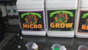 60/100ML ปู๋ย PH PERFECT® MICRO (Advanced Nutrients) ของคุณ