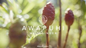Paul Mitchell AWAPUHI WILD GINGER STYLE HYDROCREAM WHIP มูสใส่ผม มูสจัดแต่งทรงผม ให้ผมอยู่ทรงนาน จัดทรงง่าย ไม่ชี้ฟู และดูสุขภาพดี 200ml.