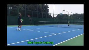 Pro Performance Tennis Ball Machine