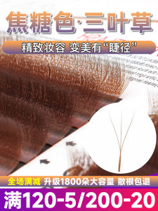 Caramel Color Three-leaf Clover Eyelash Extension Ultra Soft YY Type Colorful Brown Non-spraying Root Soft Bristle for Beauty Salon