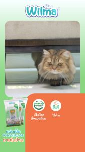 เช็ดบ้านสะอาดทันใจ Wilma วิลม่า - 30 แผ่น ใช้เดียวกับเอกลักษณ์ ย่อยสลายได้ ช่วยเสริมความสะอาดภายในบ้าน