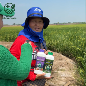 🌱ซื้อ 1 แถม 1 VAMAX + CABMAX ปุ๋ยธาตุอาหารรวมเข้มข้น สูตรเกษตรปลอดภัย เห็นผลจริงทุกแปลง