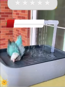Parrot Shower Tub Water Circulation Bird Bath Tub – Suitable for Budgerigars Lovebirds Canaries
