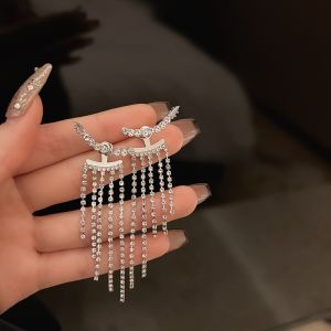 Silver Needle Womens Earrings 2025 New Hot Full Diamond Dangle High-End Sensation Super Shiny Tassel Drop Earrings