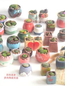 Creative Ceramic Succulent Planters Small Desktop Flower Pots Macaron Thumb Bowl Special Miniature Ornaments for Greenery