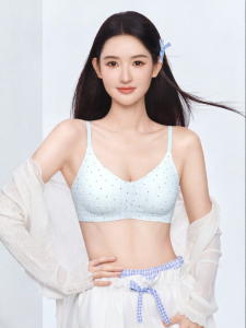 Secret World | Thin Invisible Underwear Gather Smaller Chests Prevent Sagging Eliminate Side Breasts