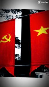 Lá cờ đuôi cá cờ đuôi nheo búa liềm dài 25m rộng 07m vải phi bóng