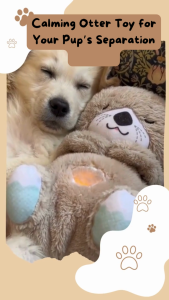 ✅[SG] Mr Calming Otter Heartbeat - Reduce Dog Separation Anxiety ★ FREE Separation Anxiety Training eGuide Worth $7 ★