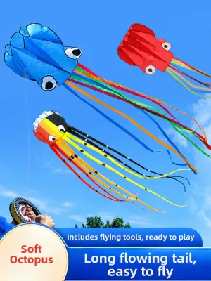 SPACECYCLE | Portable Easy-to-Fly Soft Small 3D Kite