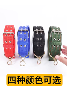 Vòng cổ Chó 2 lớp siêu dày có khoen móc xoay 360 độ (mẫu mới) - Love Pets Shop