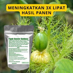 Pupuk Booster Rambusa Pelebat Organik Cepat Berbuah Lebat Besar Anti Rontok Pembesar Rambusa